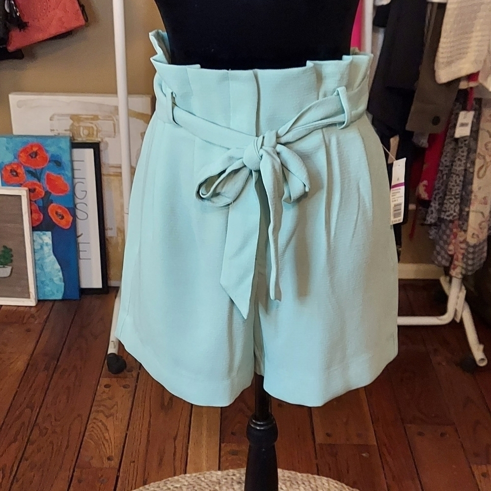 The Limited Paperbag Waist Shorts